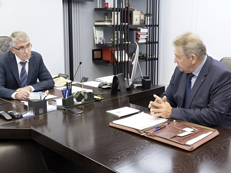 Дмитрий Миляев провел рабочую встречу с руководителем Приокского управления Ростехнадзора