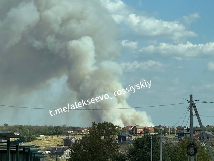Крупный ландшафтный пожар полыхает в Ростовской области
