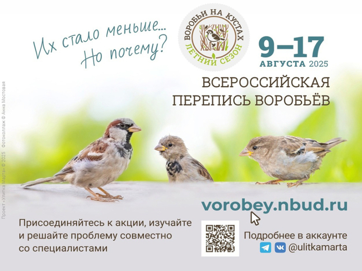 Костромская экология: жителей города и области просят принять участие в «воробьиной переписи»