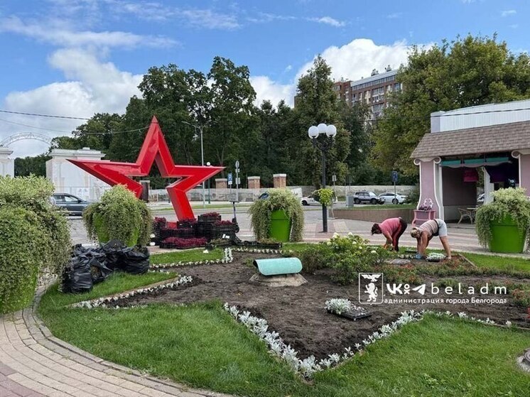 Колеусы и цинерарии: напротив парка Ленина Белгорода делают клумбу в виде звезды