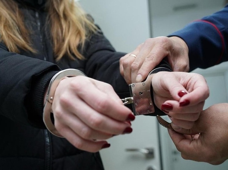 Женщину из Новосибирской области подозревают в обмане жительницы Калмыкии