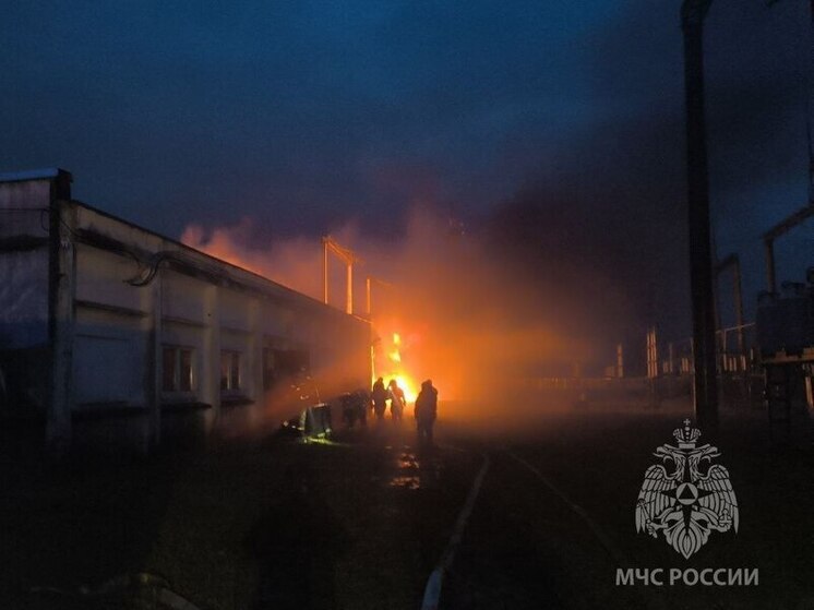 В МЧС рассказали о причинах июльского пожара на подстанции в Великом Новгороде