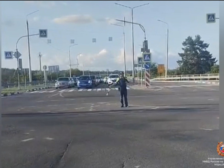 В Белгороде на пересечении Губкина и Красноармейской отключили светофор