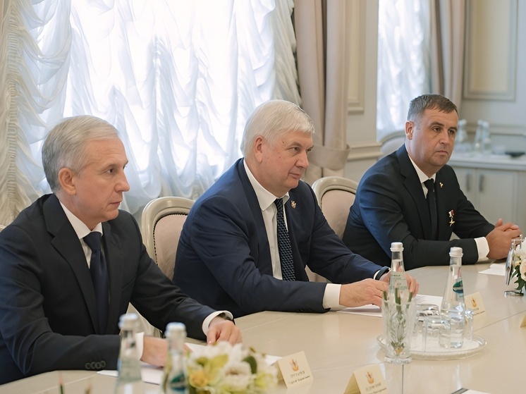 Во вторник, 12 августа, глава Воронежской области Александр Гусев провел встречу с представителями Фонда помощи инвалидам и ветеранам боевых действий «Своих не бросаем»