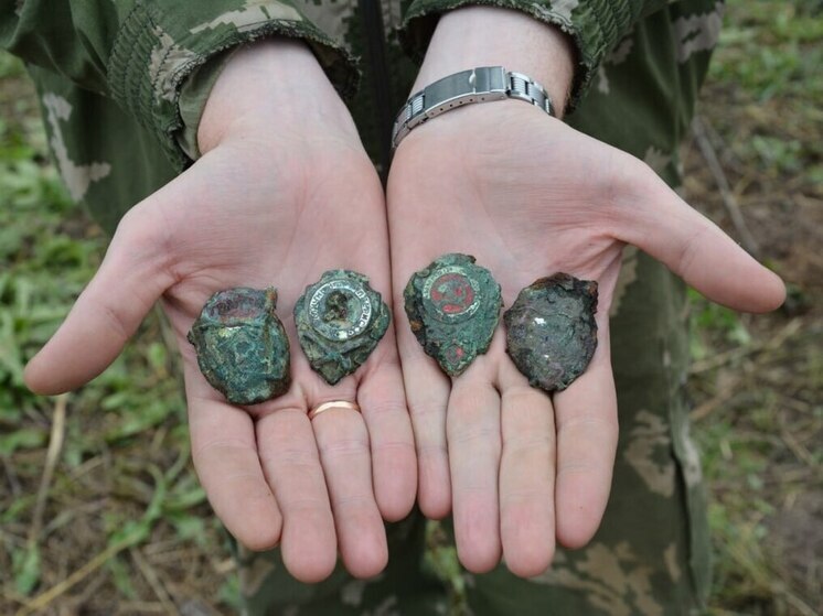 Балаковские поисковики в Псковской области нашли останки 31 советского воина