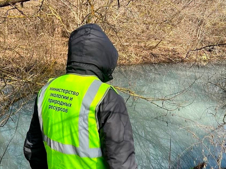 В Тамбовской области возбуждено дело из-за загрязнения ручья
