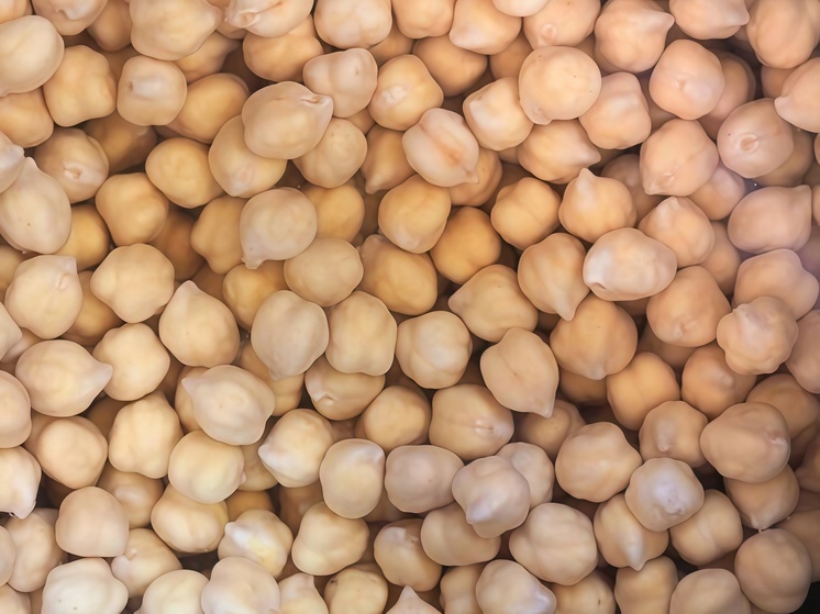 На Ставрополье урожай нута превысил 60 тысяч тонн