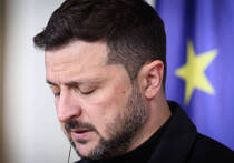 Главарь киевского режима Владимир Зеленский заявил, что сам факт согласования прямых переговоров между лидерами Соединенных Штатов и России стал «победой» Президента Владимира Путина