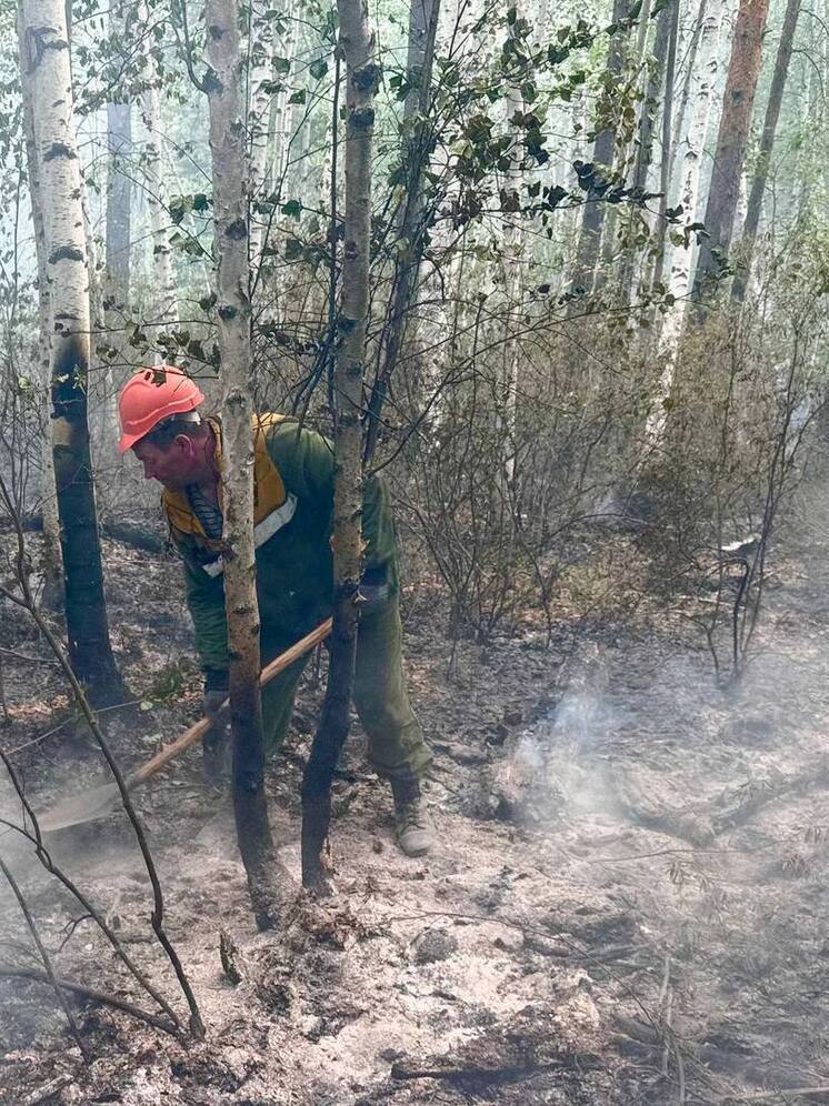 В Бурятии продолжают тушить один лесной пожар
