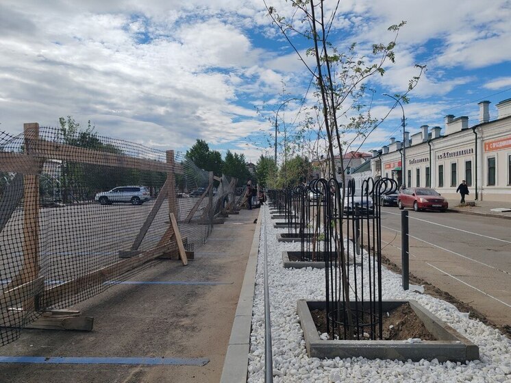Власти Улан-Удэ разработали программу по спасению городского озеленения