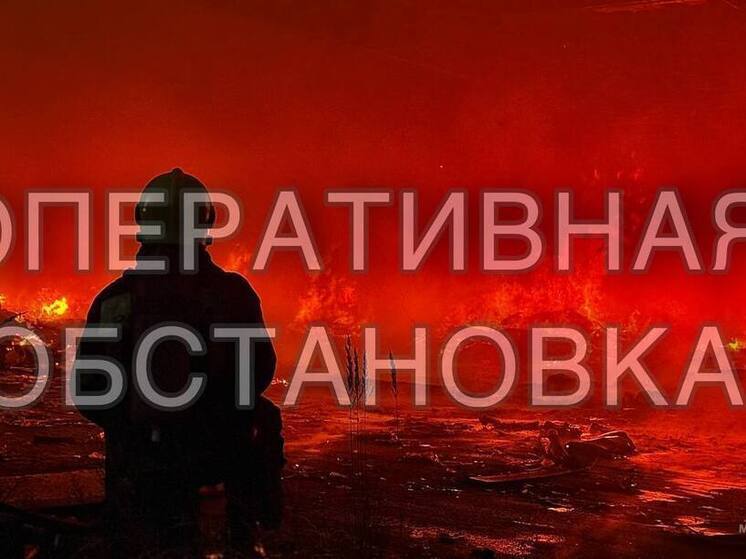 Горел мусор, машина и хозпостройка: опубликована статистика происшествий в Тверской области за вторник