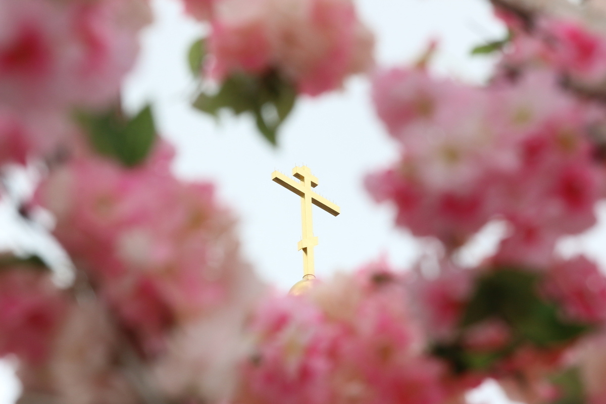 Фото: Геннадий Черкасов