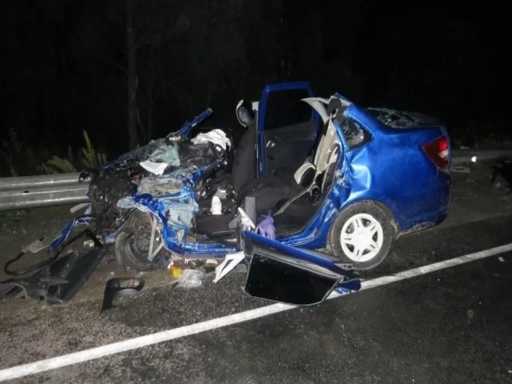 Страшное ДТП на автодороге Томск-Колпашево унесло человеческую жизнь