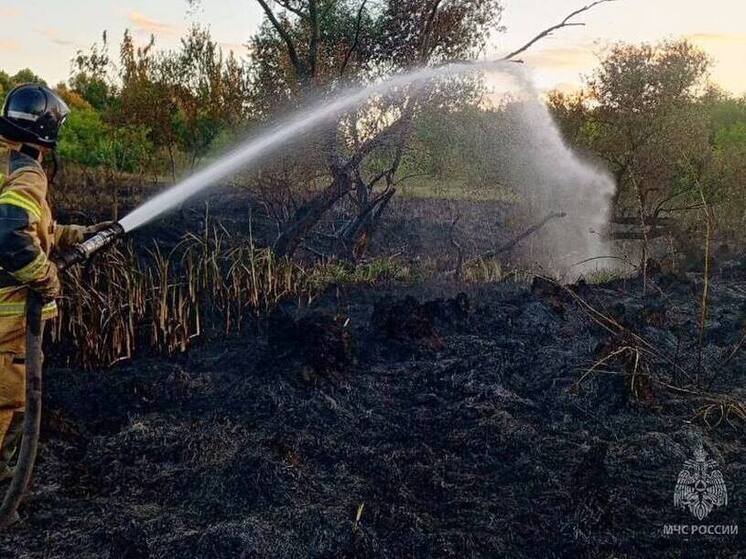 Макеевские пожарные защитили три посёлка от огненной стихии