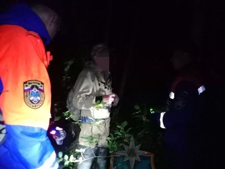 Заблудившегося в лесу возле Синявино мужчину спасатели искали до глубокой ночи