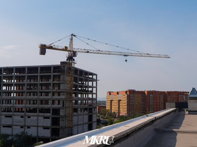 Забайкальцы стали чаще строить и ходить к парикмахеру в 2025 году