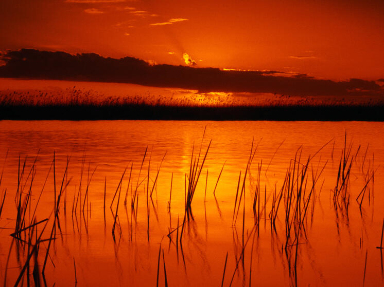 SHOT: риск стафилококка выше при купании в августе