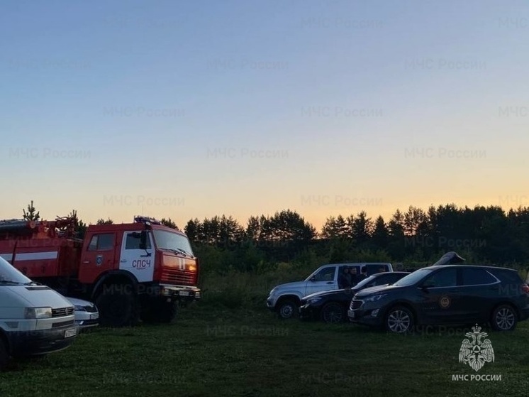 В Орловском округе пропал ребёнок