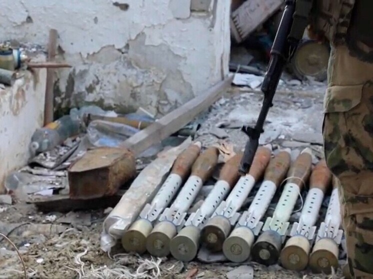 Росгвардейцы нашли в ДНР оставленные ВСУ боеприпасы