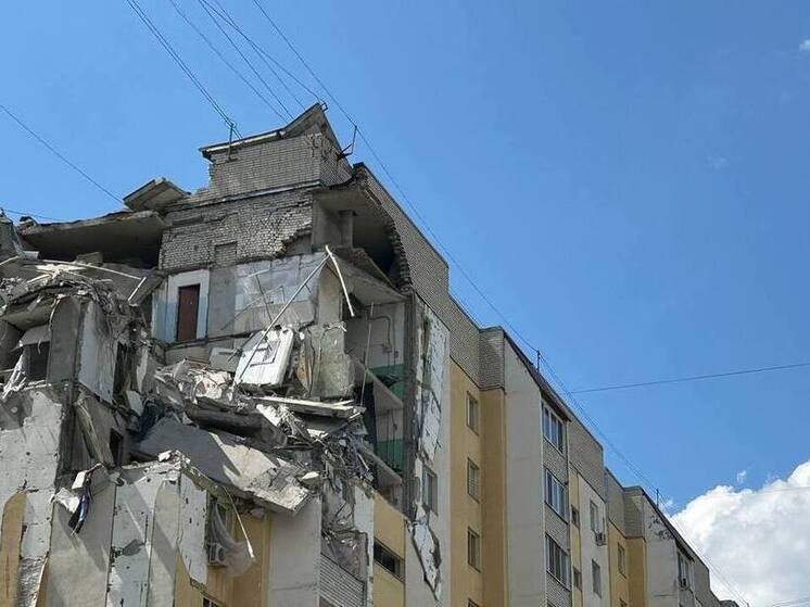 Из взорвавшегося дома на Блинова в Саратове спасли шесть кошек