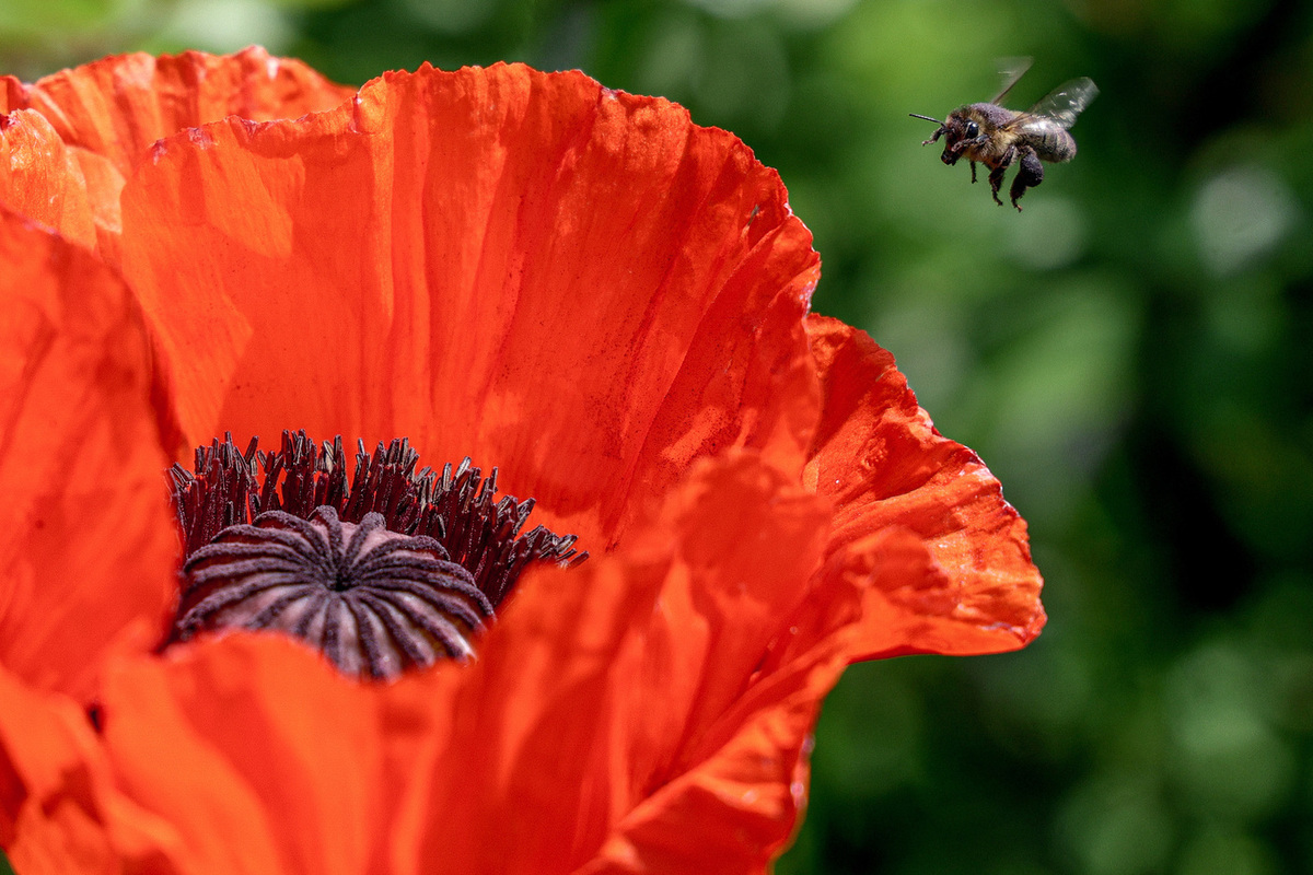 14 августа: какой сегодня праздник