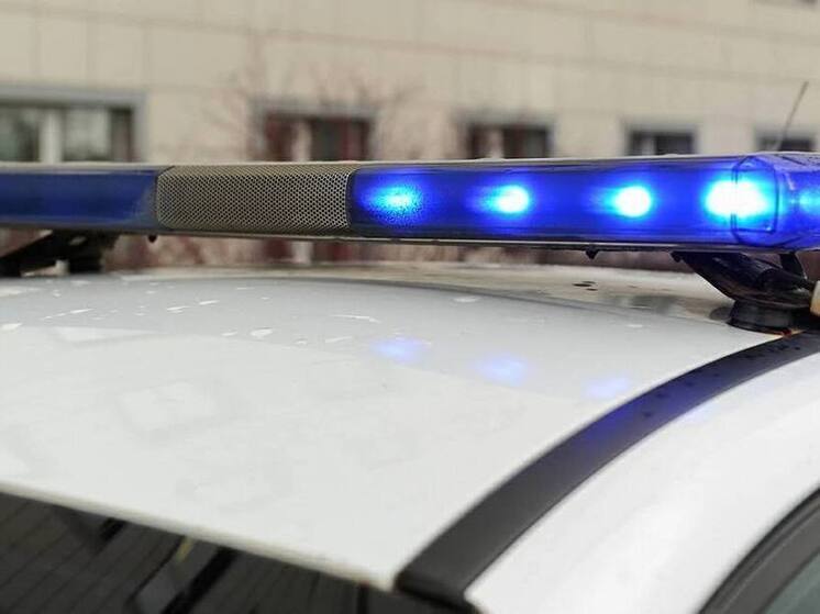 В Плавском районе сотрудники полиции раскрыли кражу автоприцепа