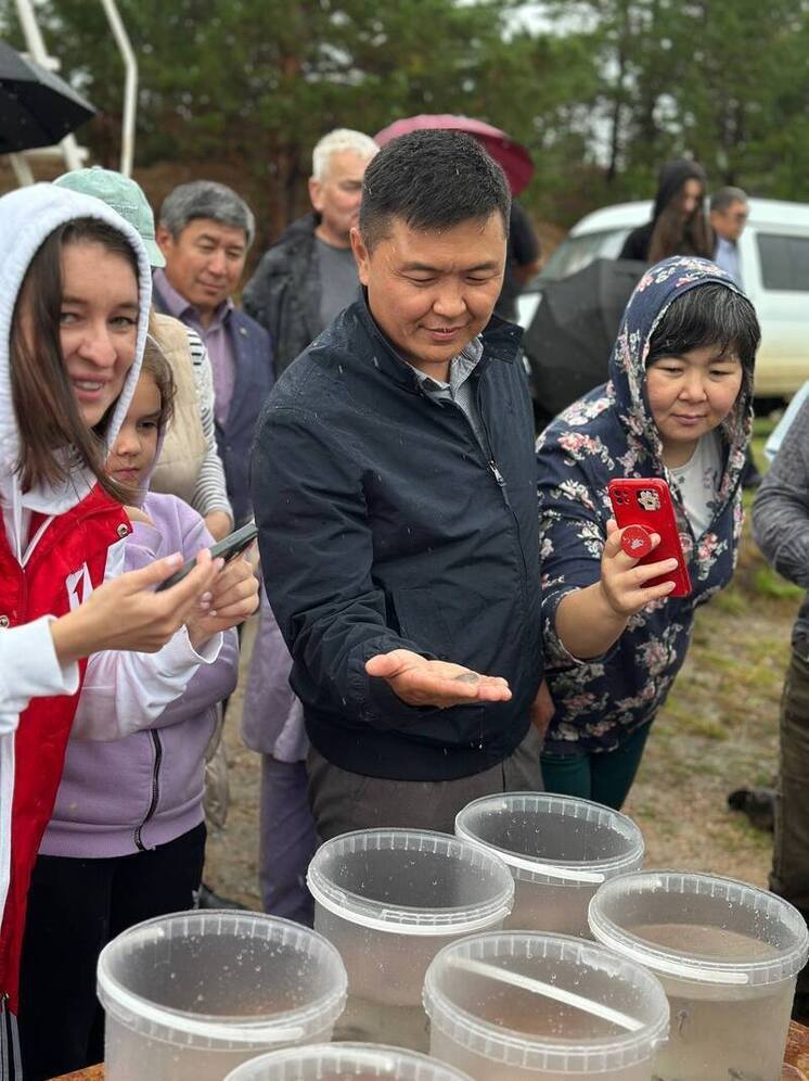В Бурятии в реку Баргузин выпустили молодь байкальского осетра