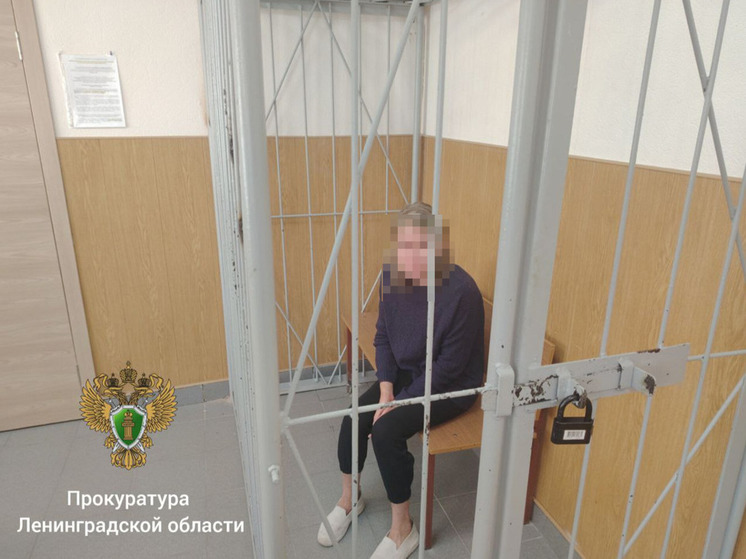 В Гатчине женщина забила до смерти лопатой и вилами неизвестного мужчину