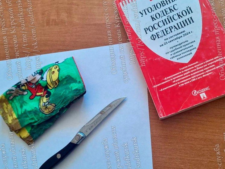 Курский суд продолжает разбирательство по делу о двойном убийстве