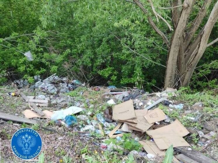 Прокуратура добивается уборки свалки в Брянске