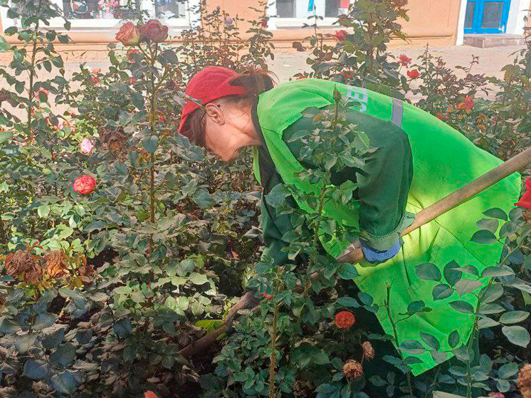 В Курске продолжается летний уход за зеленью