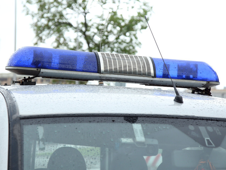 В Лобне разоблачена преступная группа, занимавшаяся фиктивной регистрацией мигрантов