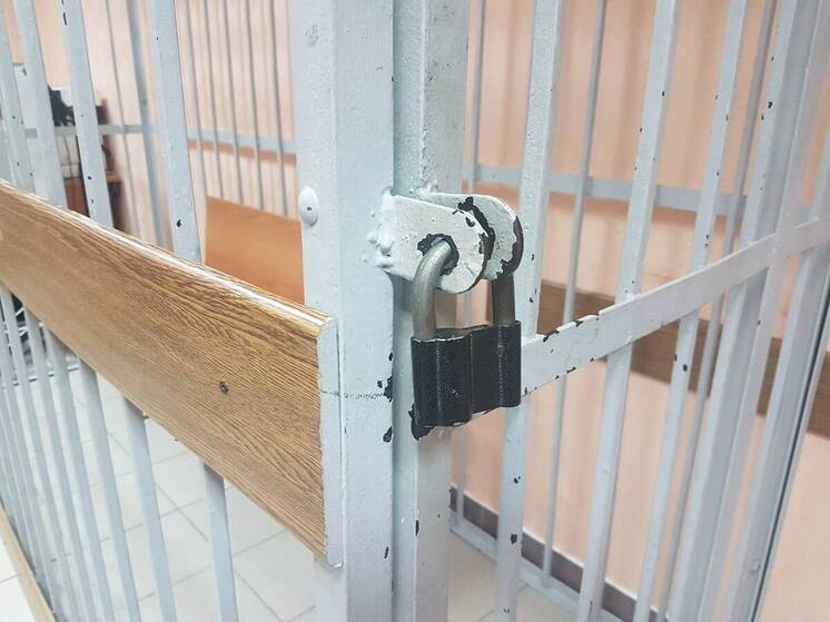 Жительницу Брянской области за убийство лишили свободы на 8 лет