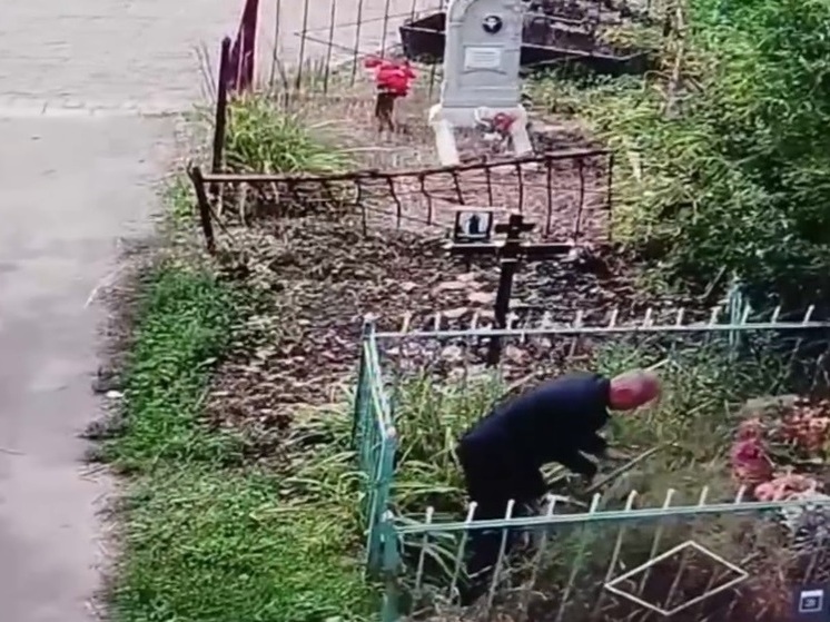 Вандал на кладбище в Ельце попал на камеру