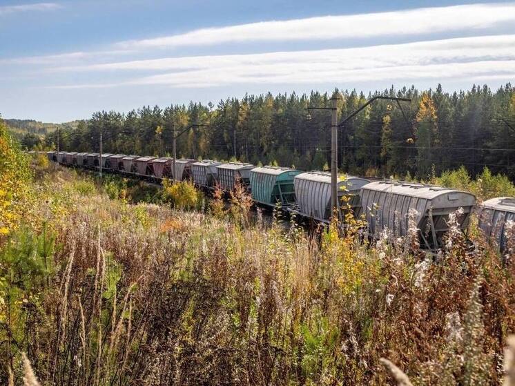 В Новгородской области погрузка железнодорожным транспортом выросла на 2%