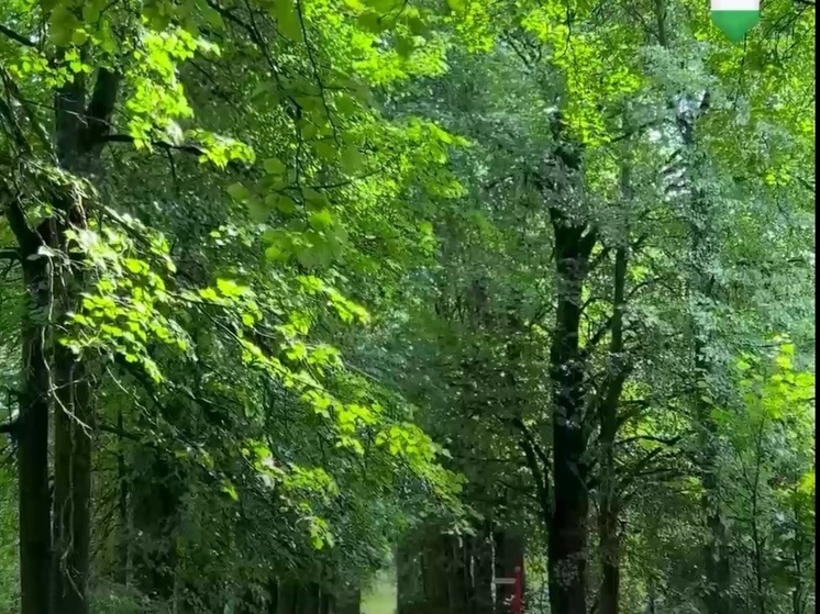 В усадьбе Яновских открыли вторую калужскую экотропу