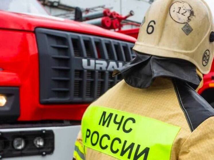 В Новосибирске пожарные спасли женщину из горящей квартиры