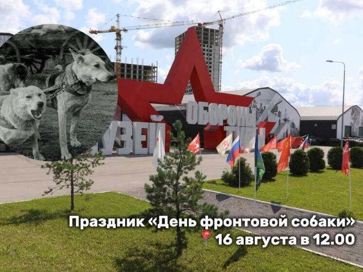 Музей обороны Тулы впервые проведет «День фронтовой собаки» 16 августа