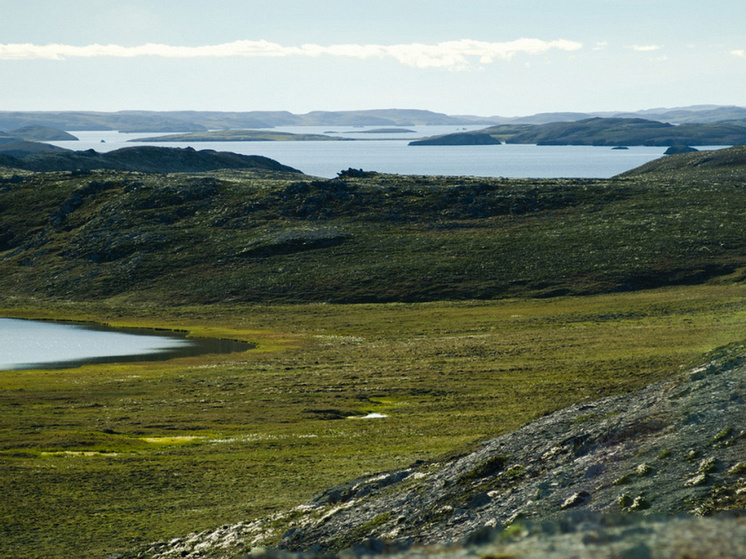 Reuters: Россия может испытать ракету "Буревестник" перед встречей с Трампом