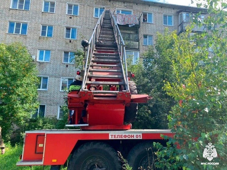 В Мантурово ребенок застрял на балконе квартиры на пятом этаже
