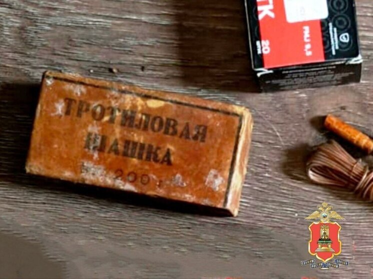 Житель Торжка хранил под одной крышей коноплю и тротиловую шашку