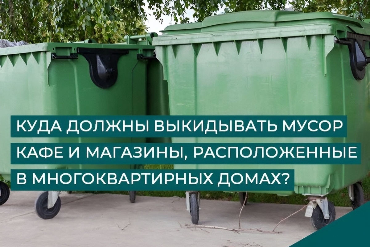 Бизнесу напомнили: мусор нельзя выбрасывать в контейнеры жилых домов