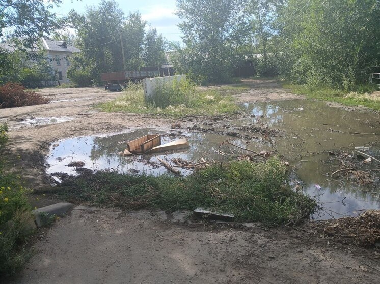 В редакцию «МК в Бурятии» обратилась жительница поселка Аэропорт Лариса Владимировна Суворова. 89-летний ветеран труда не находит покоя от беспорядка, который напрямую касается ее дома и дворовой территории. Корреспондент издания отправился к ветерану домой.