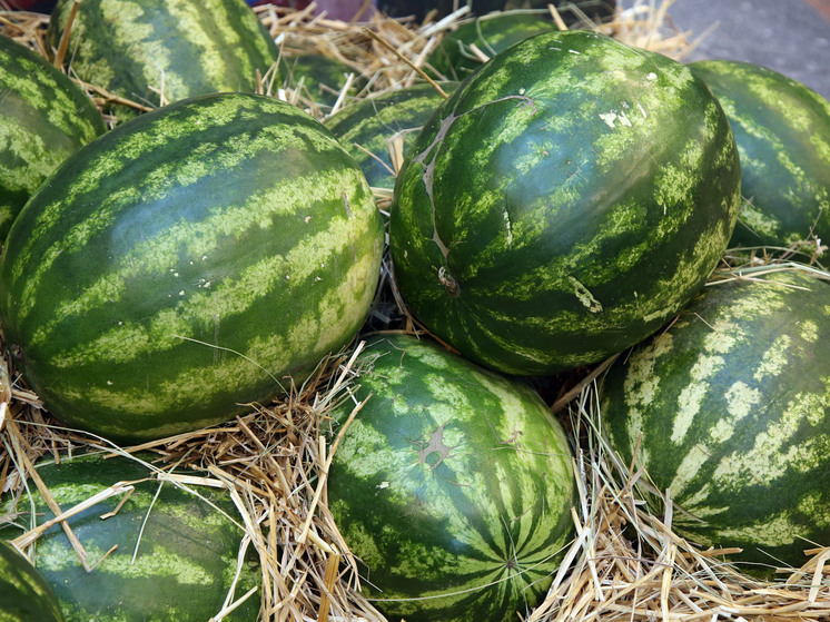 Врач-терапевт Глистенкова заявила, что арбуз неправильной формы может быть опасен