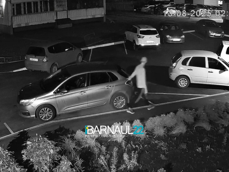 В Барнауле неизвестный облил машину жидкостью, разъедающей краску