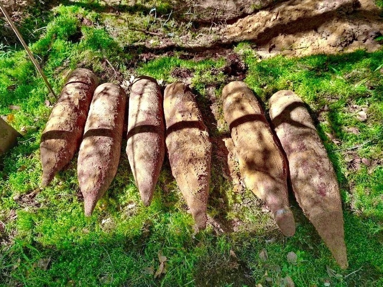 В Краснинском районе обезвредили шесть крупнокалиберных снарядов времен войны