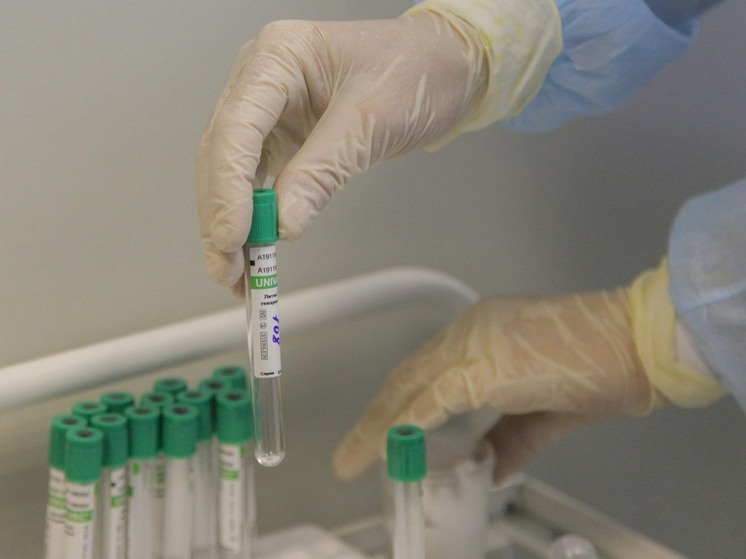 Роспотребнадзор назвал страны, где можно заразиться лихорадкой чикунгунья