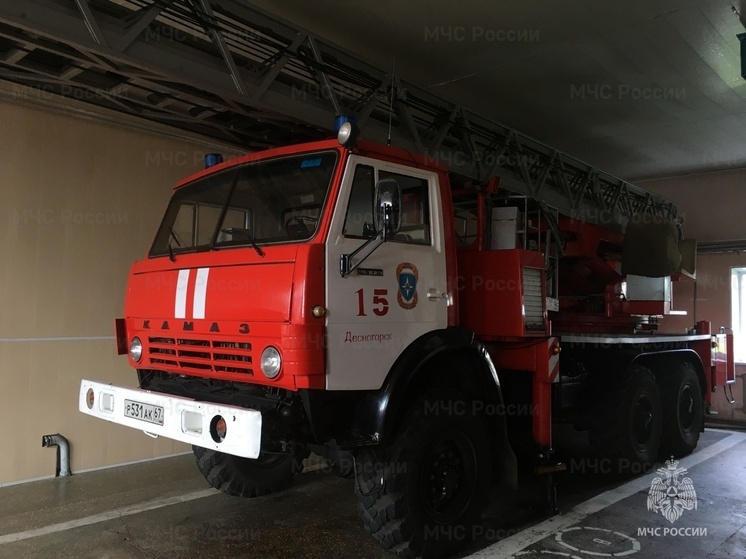 В Десногорском СНТ сгорел автомобиль