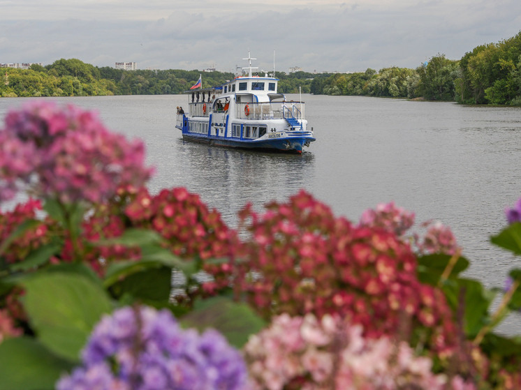 В Москве в четверг пройдет скоротечный ливень, а температура не превысит +20 градусов