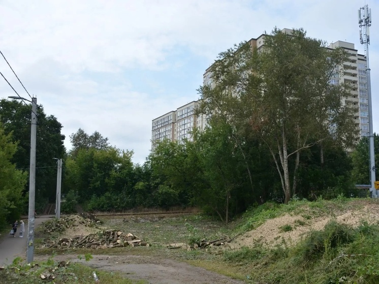 В Иванове появится новая зона отдыха